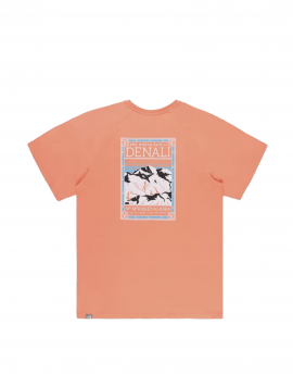 The North Face Tee