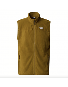 The North Face Glacier Vest