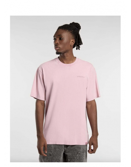 Dickies Plentywood Tee