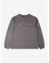 Purple Mouintain Observatory LS Globe TEE