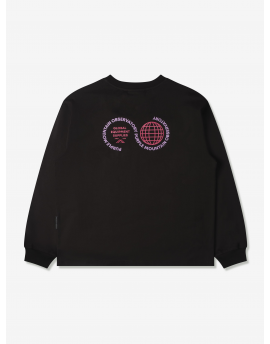 Purple Mouintain Observatory LS Globe TEE