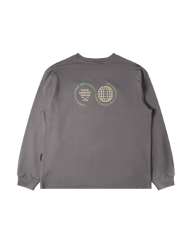 Purple Mouintain Observatory LS Globe TEE