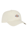 Dickies Hardwick Cap