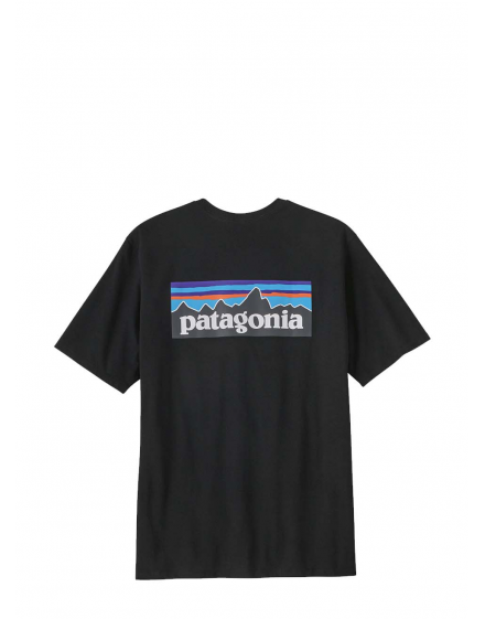 Patagonia Men's P-6 Logo Responsibili-Tee